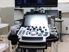 超音波画像診断装置（エコー）